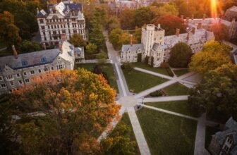 AI Is Already Disrupting Labor, and Current Grads Might Be a ‘Misplaced Technology’