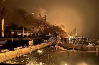 Two Years After Maui Burned, Researchers Reveal the Wildfire’s True Loss of life Toll