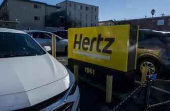 Nancy Mace Hitches Her Wagon to the Hertz AI-Scanner Controversy