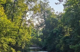 The Little Issues E-newsletter #483 – Life, laughter, and many nice meals!