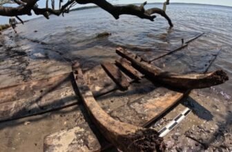 Attainable Spanish Shipwreck From the 1700s Emerges From North Carolina Marsh