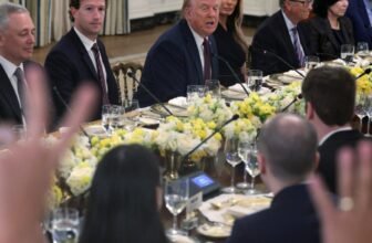 Massive Tech Tells H-1B Staff To not Go away Nation As a consequence of Trump’s New Coverage