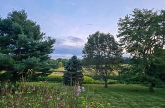 The Little Issues Publication #485 – Life, laughter, and many nice meals!