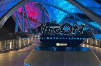 The Finest Disney Park Trip Overlays, and The place to Discover Them