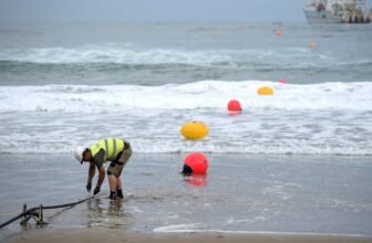 Web Entry within the Center East Disrupted After Undersea Cables Are Mysteriously Reduce