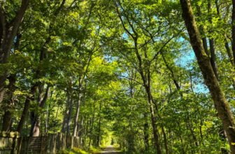 The Little Issues E-newsletter #489 – Life, laughter, and plenty of nice meals!