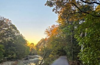 The Little Issues Publication #491 – Life, laughter, and many nice meals!