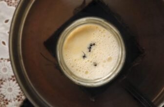 Scientists Staff Up With Michelin Cooks to Recreate Historic Yogurt—With Ants