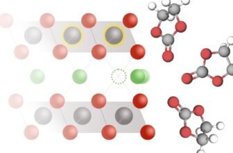 We’ve Been Utilizing Lithium-Ion Batteries for A long time. Now We Know Extra About How They Work