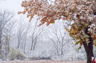 The Little Issues E-newsletter #496 – Life, laughter, and plenty of nice meals!