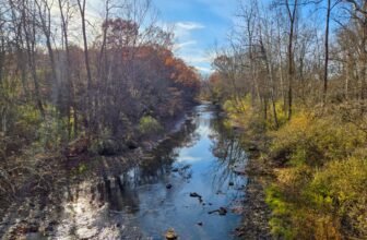 The Little Issues Publication #497 – Life, laughter, and many nice meals!